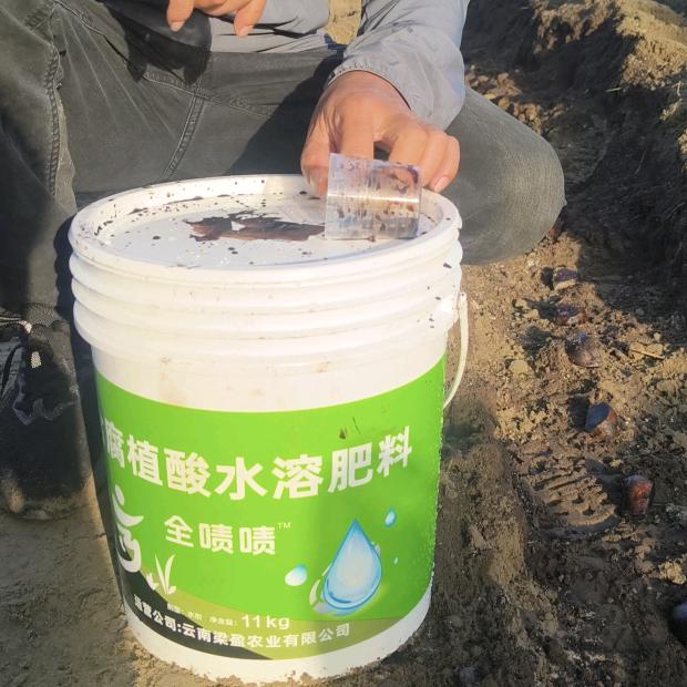 @全啧啧~含腐植酸水溶肥