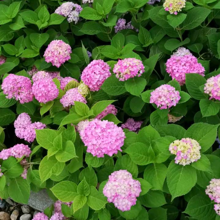 济宁市任城区谢凤珠百货店