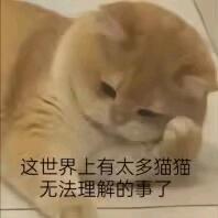 小猫偷吃香辣鸡腿堡