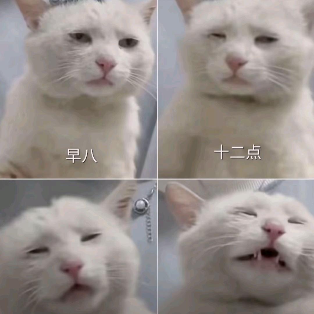 anon头像