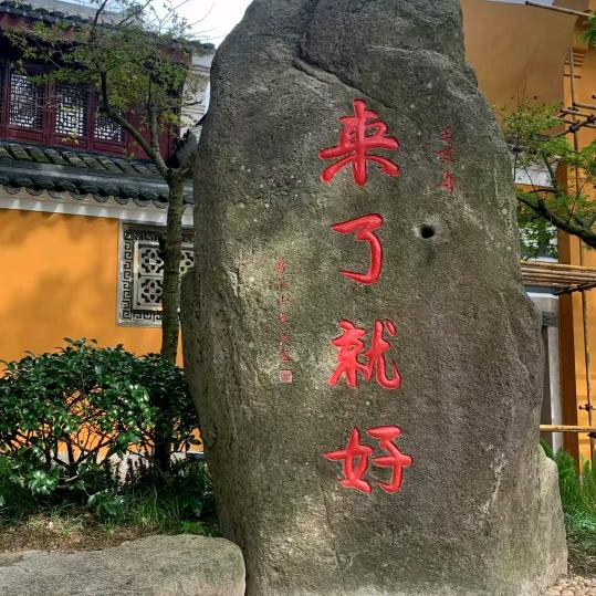 新的一年，新的起点