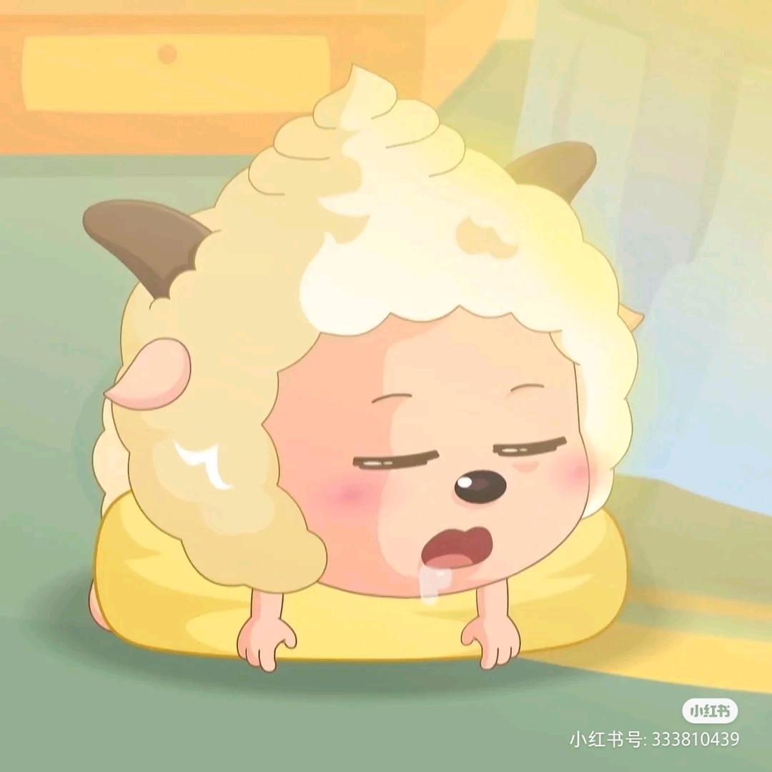 火锅有肉