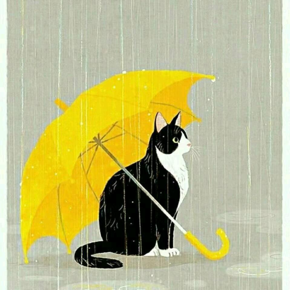 小林🐱🐟