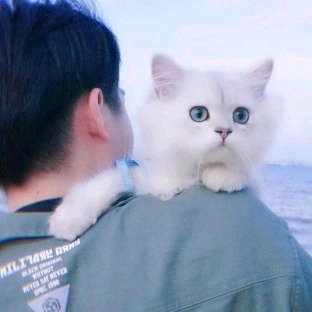 黑白