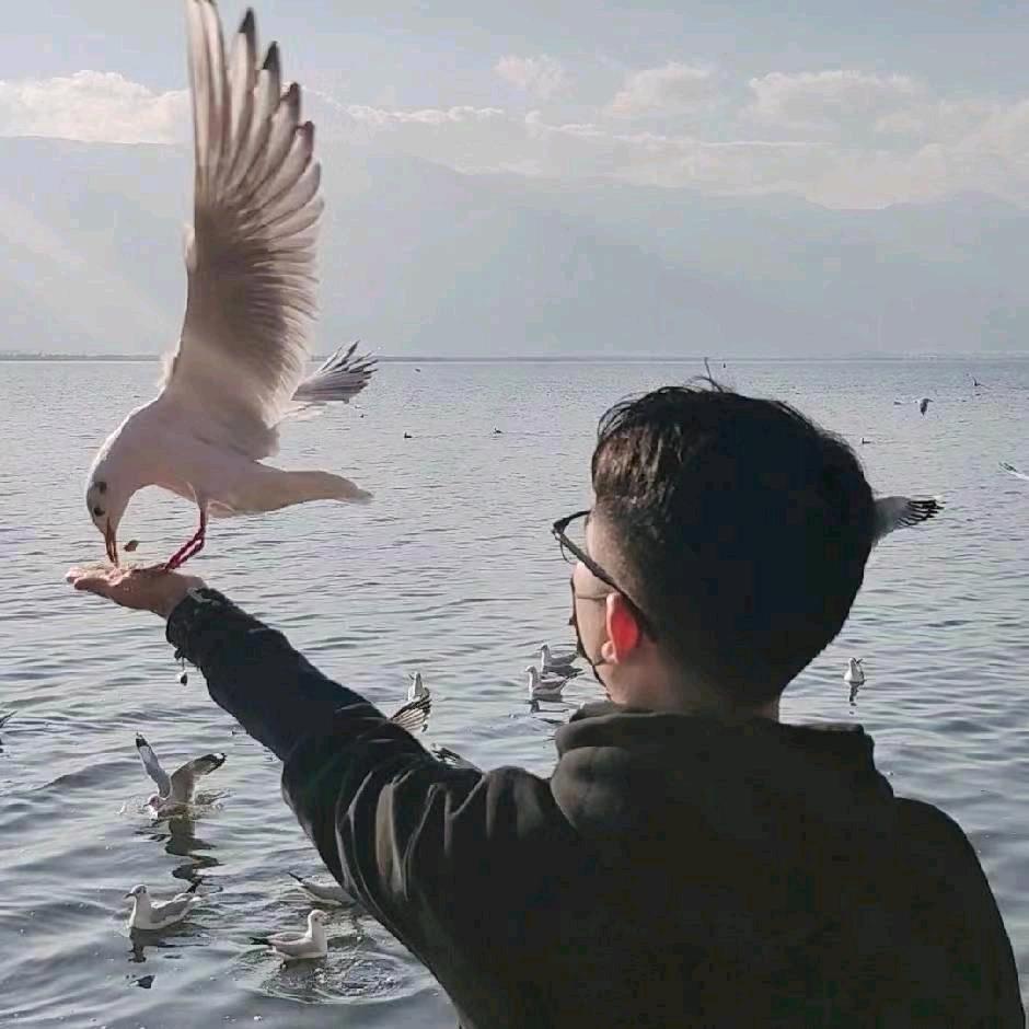 就叫可乐吧🌊