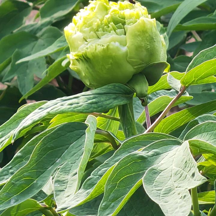 @刘€刘$大&顺✺◟(∗❛ัᴗ❛ั∗)◞
