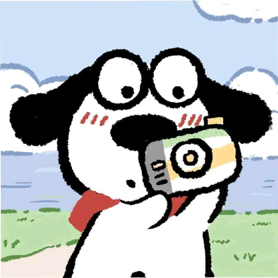 胜利笨小孩