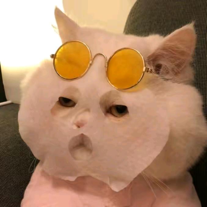 小季呀