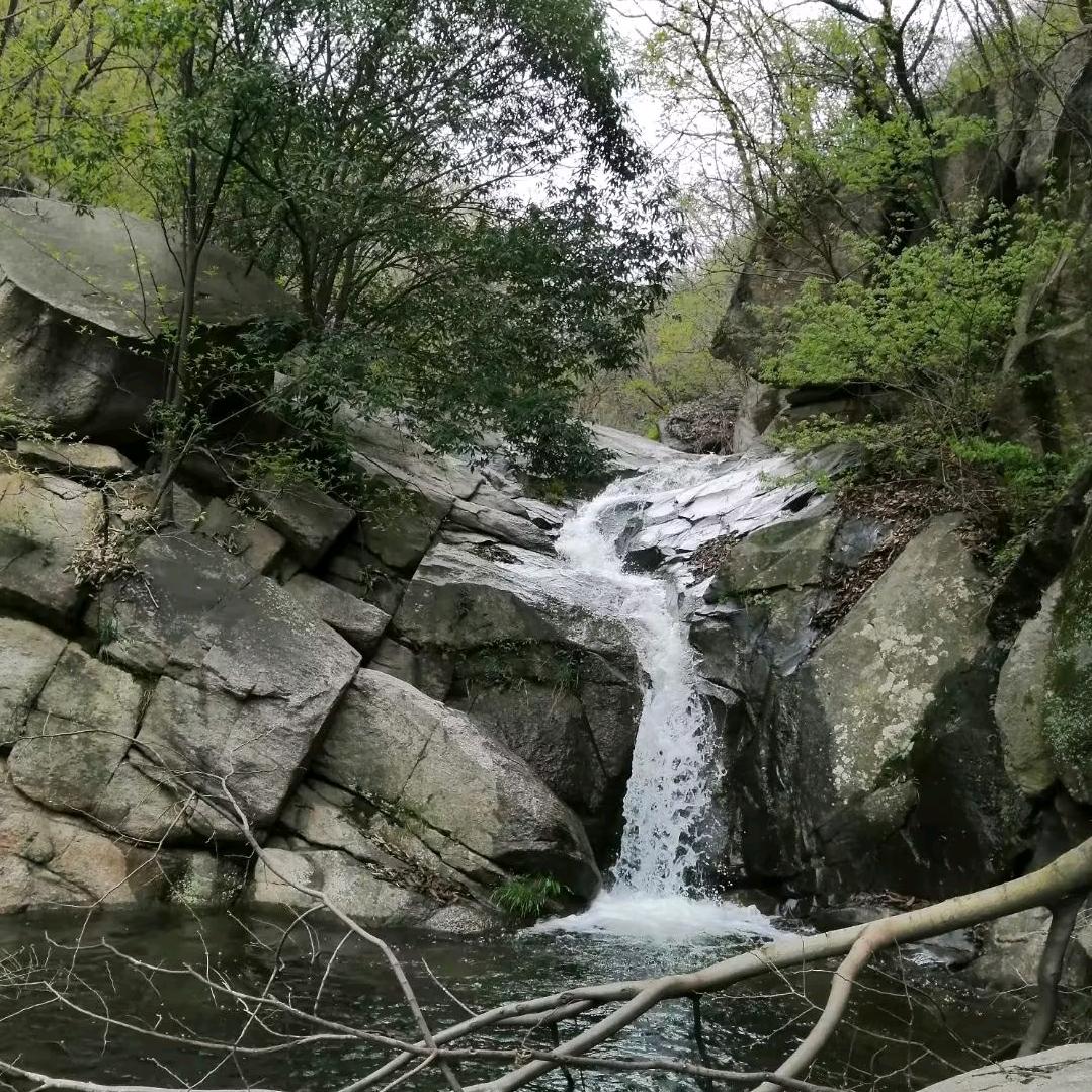 疯哥