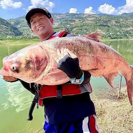 我叫王多鱼16813