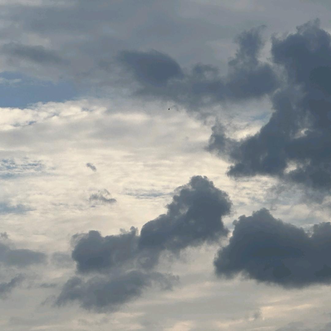 泰式按摩泰乐谷--叽叽咕咕