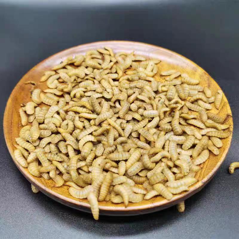 八月养殖场