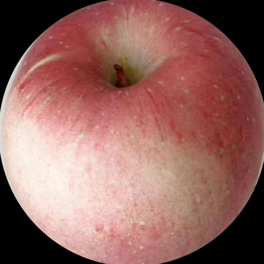 嗯对我就爱吃饭