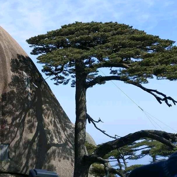 敬天敬地敬贵人………