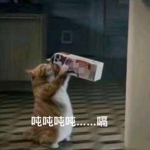 万念不可乱其心