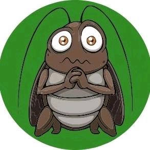 金拜尔专业杀蟑螂