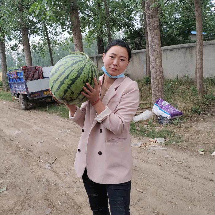 九七年的老阿姨