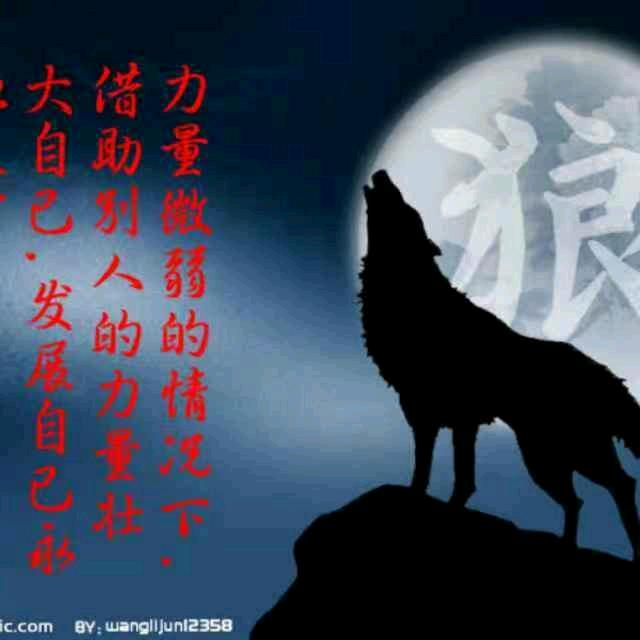 北方的狼
