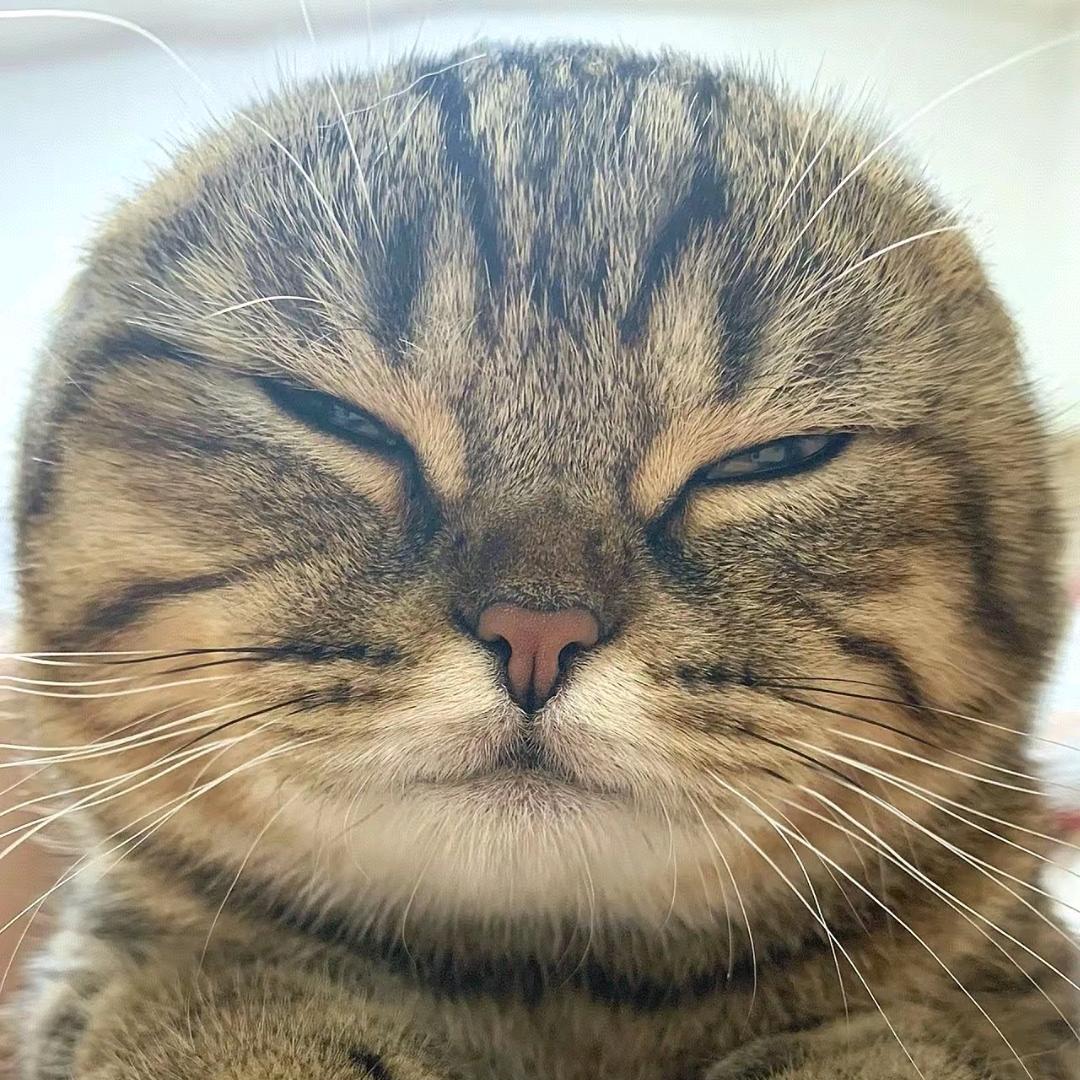 Fup