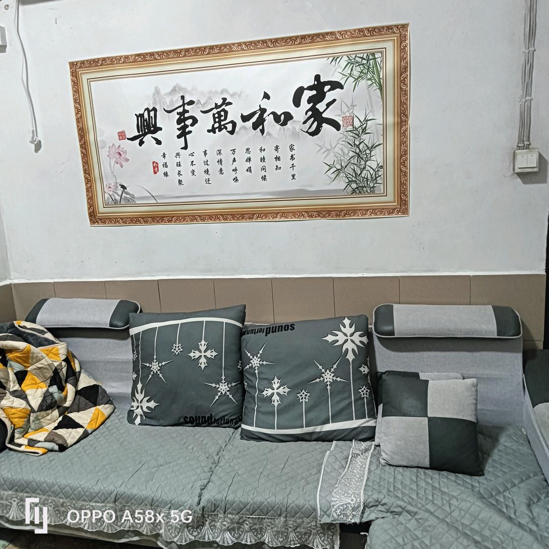 自由飞翔