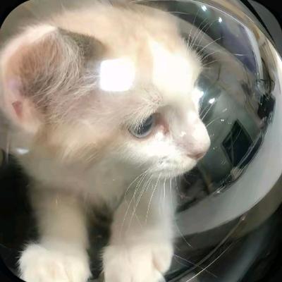 云上