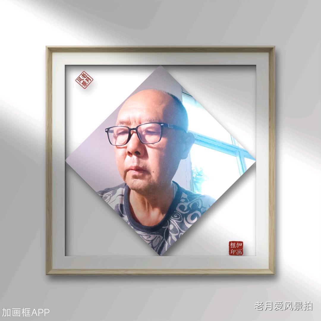 老月情感