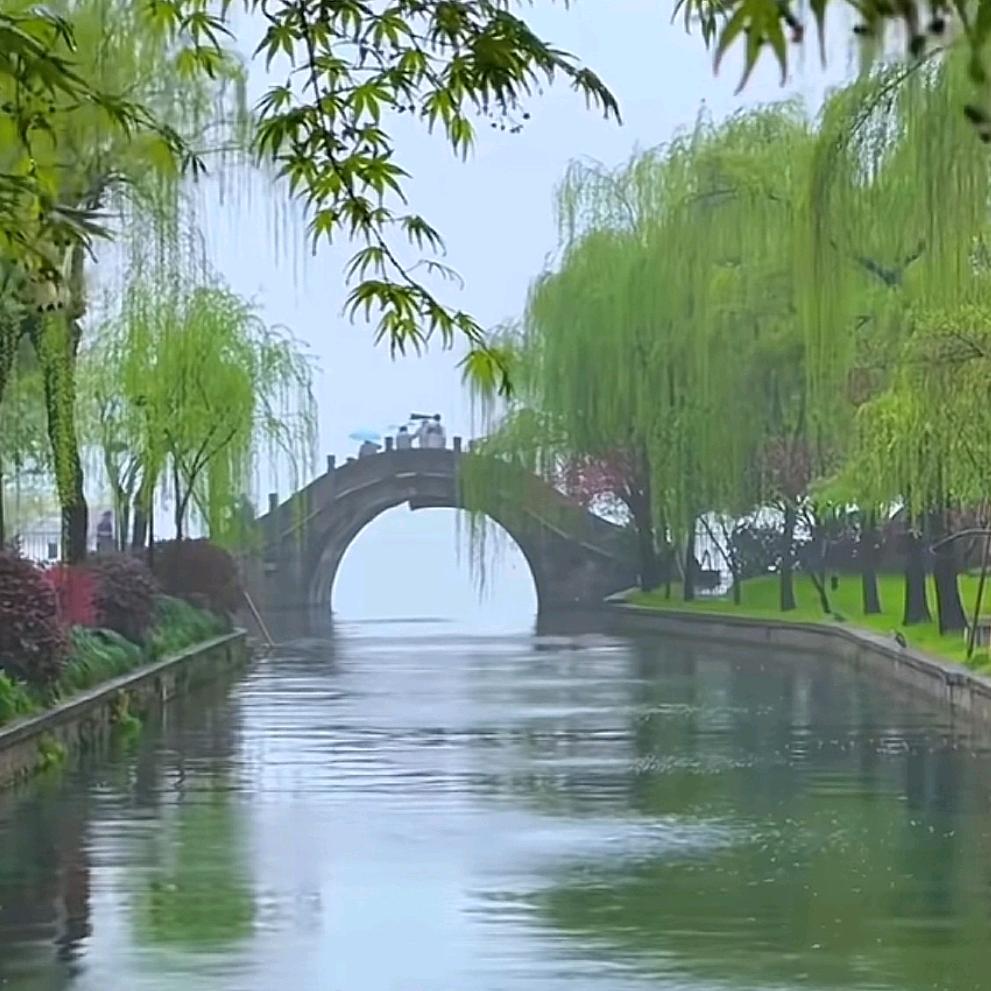 我是一个兵75729158