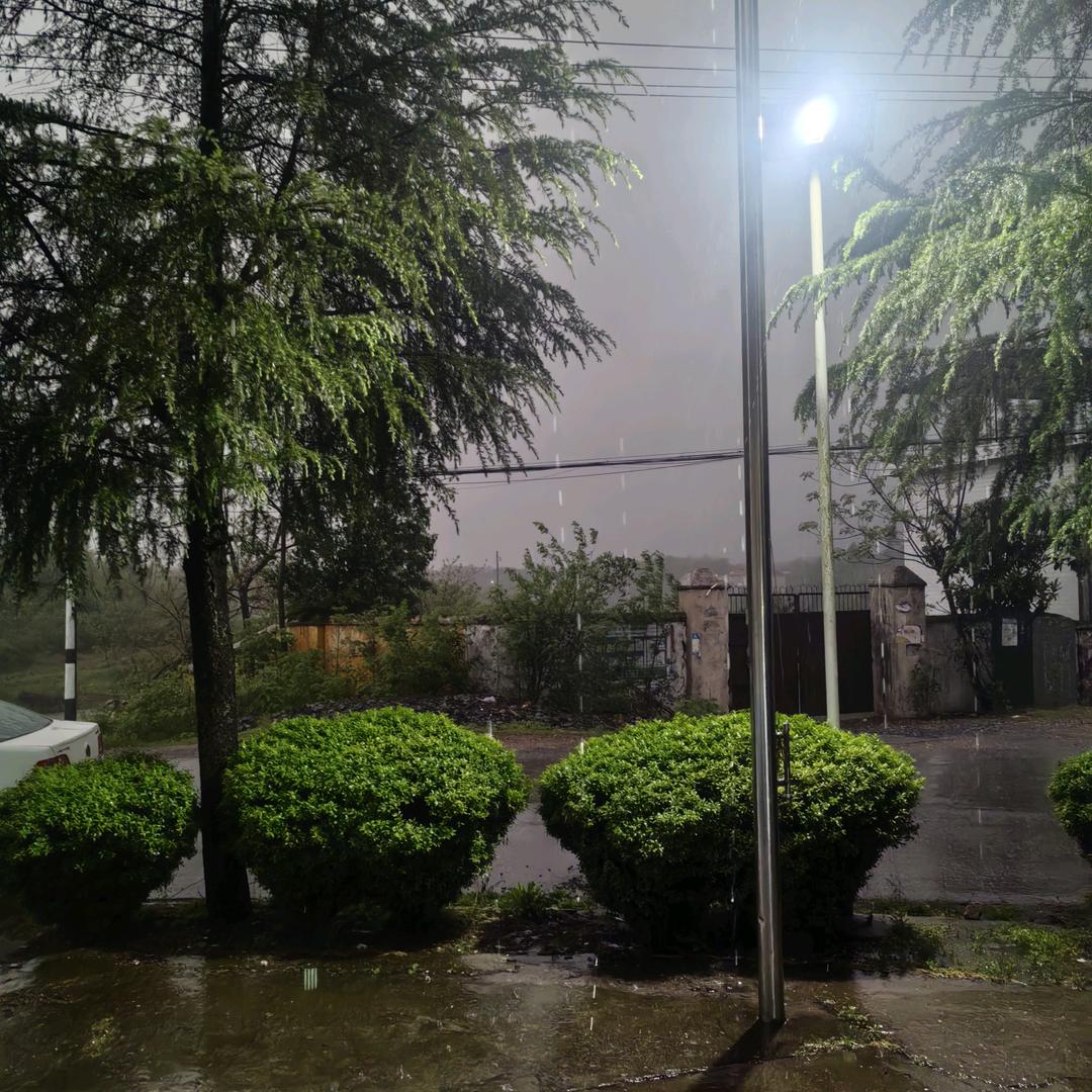 西伯利亚老旁海