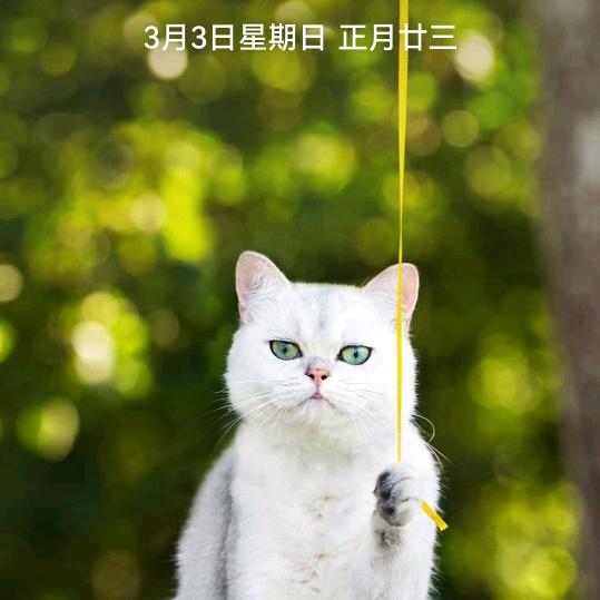 洋气