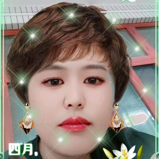 乔泥娜样