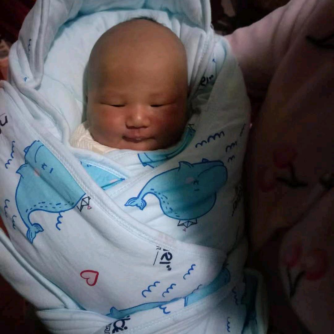 乐乐（诣宝贝）