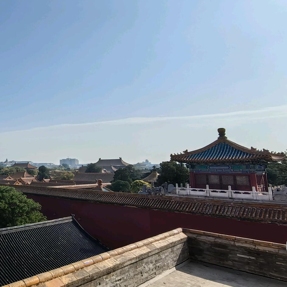 爱失眠的小马