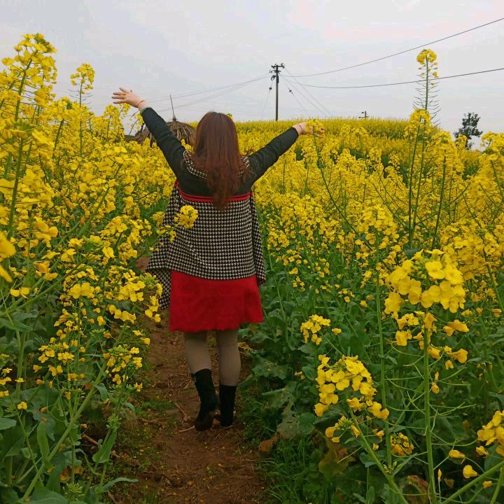 朱三妹