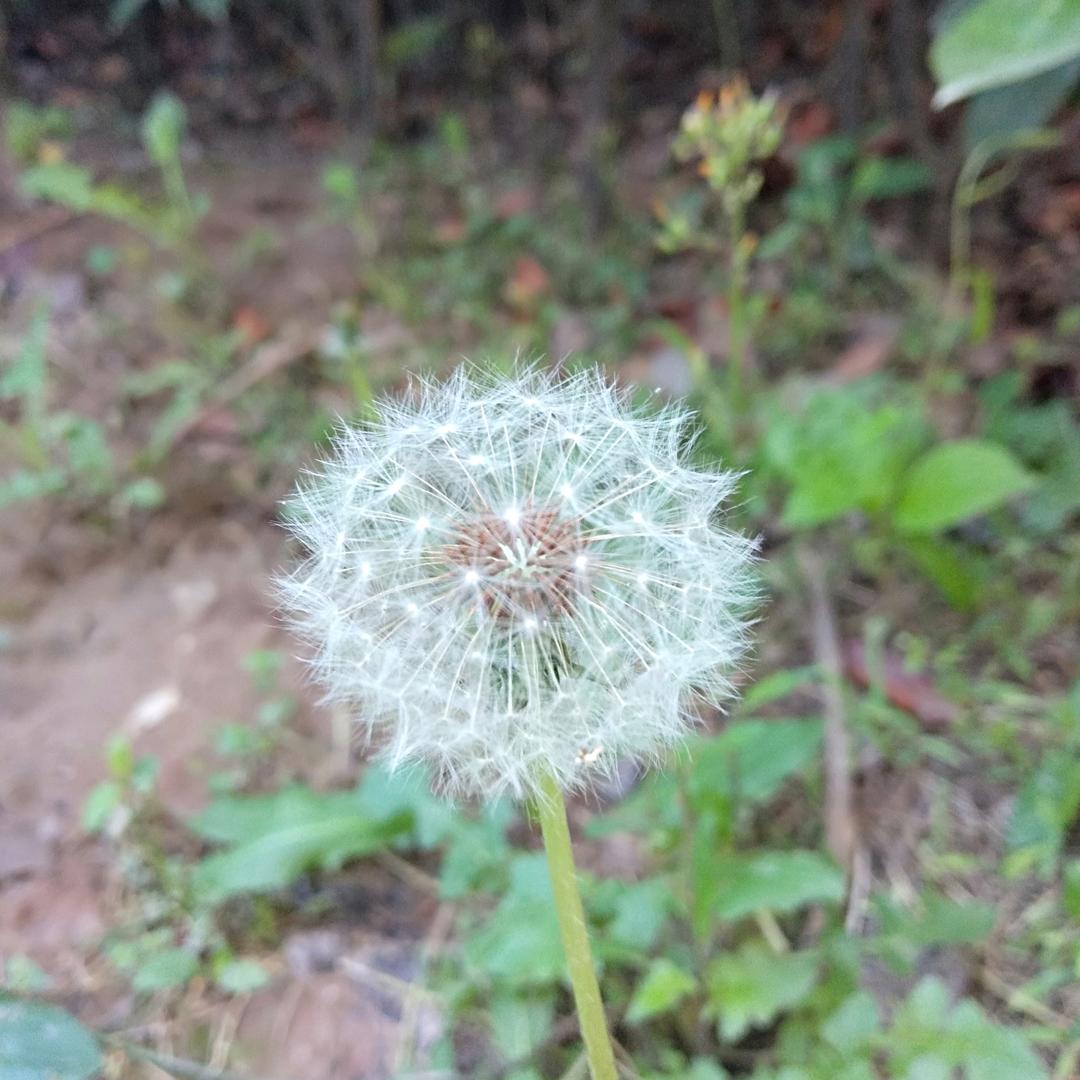 暴风雨