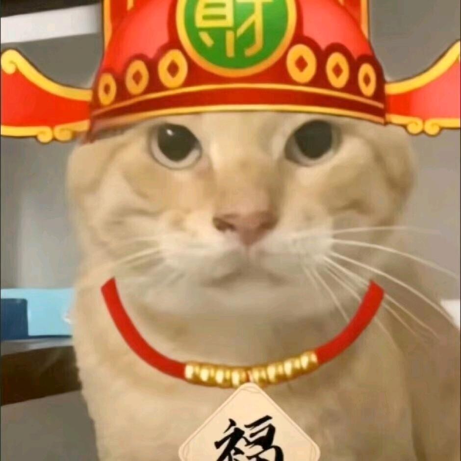 来财叮咚鸡米