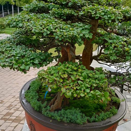 珍惜将来   过好每一天