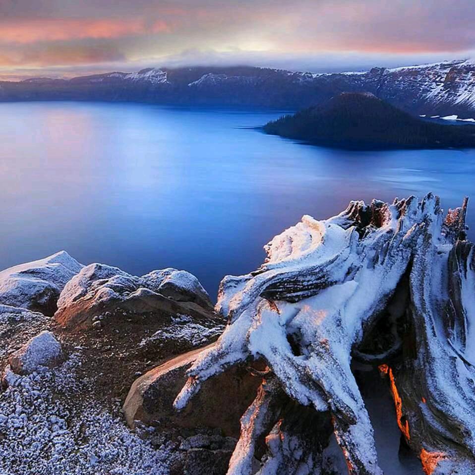 ✨🌻风之子🌻✨