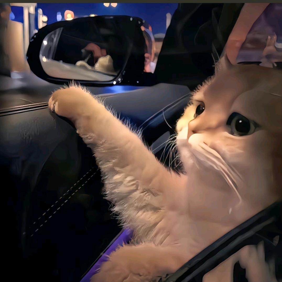 只要名字够长就有笨蛋跟着念