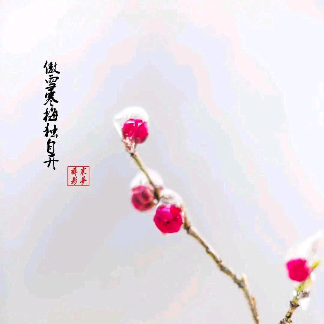 💕影影💕