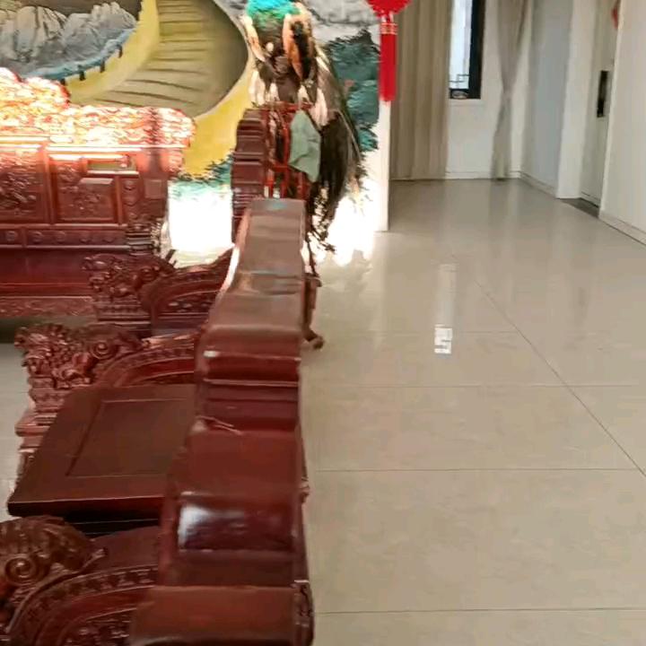 我是书晨的奶奶