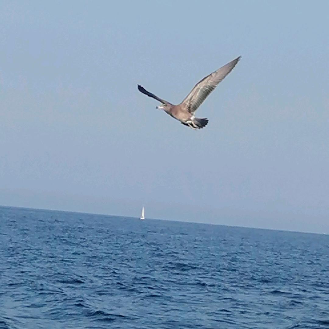 风止河清