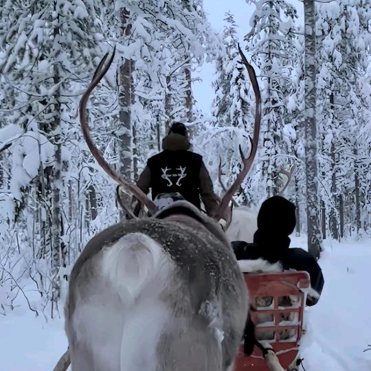 🥛H!未来的你是怎样的