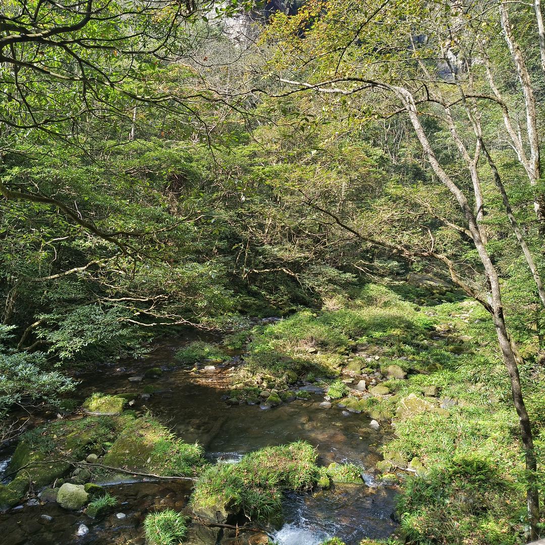 鹰击长空踏青云