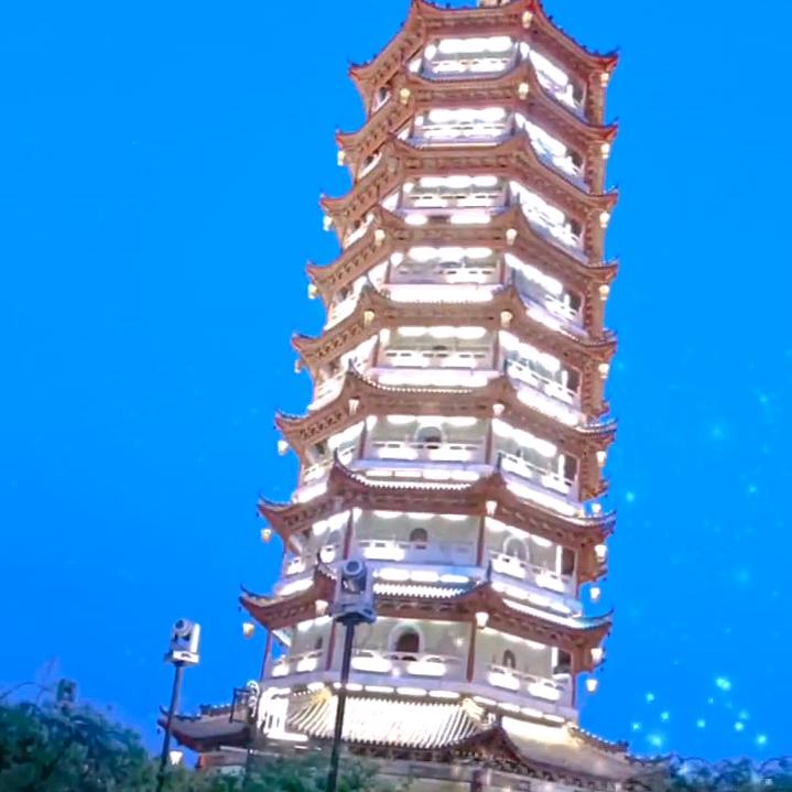 老虎🐯的小酒窝