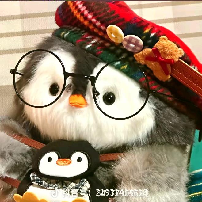 安溪县龙门大洋美电子产品商行（个体工商户）