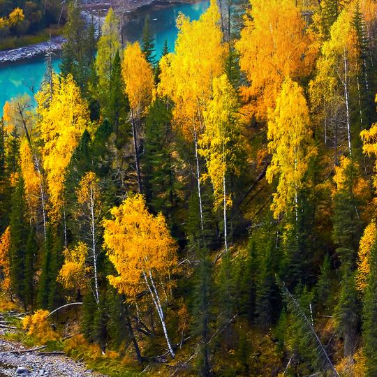 陈校长讲智能在邢台