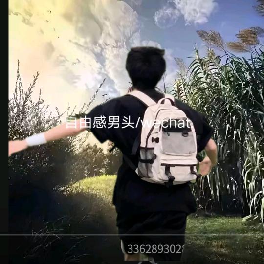 熊大哥来了