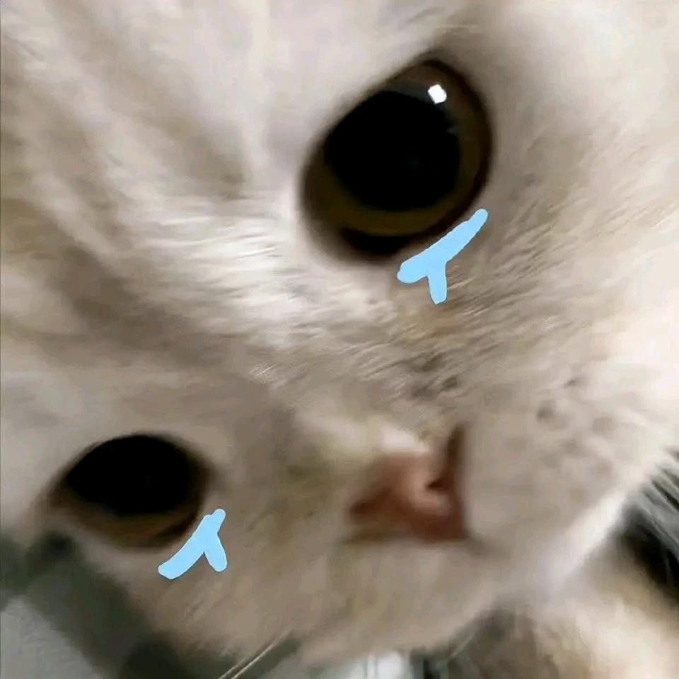 芝麻团