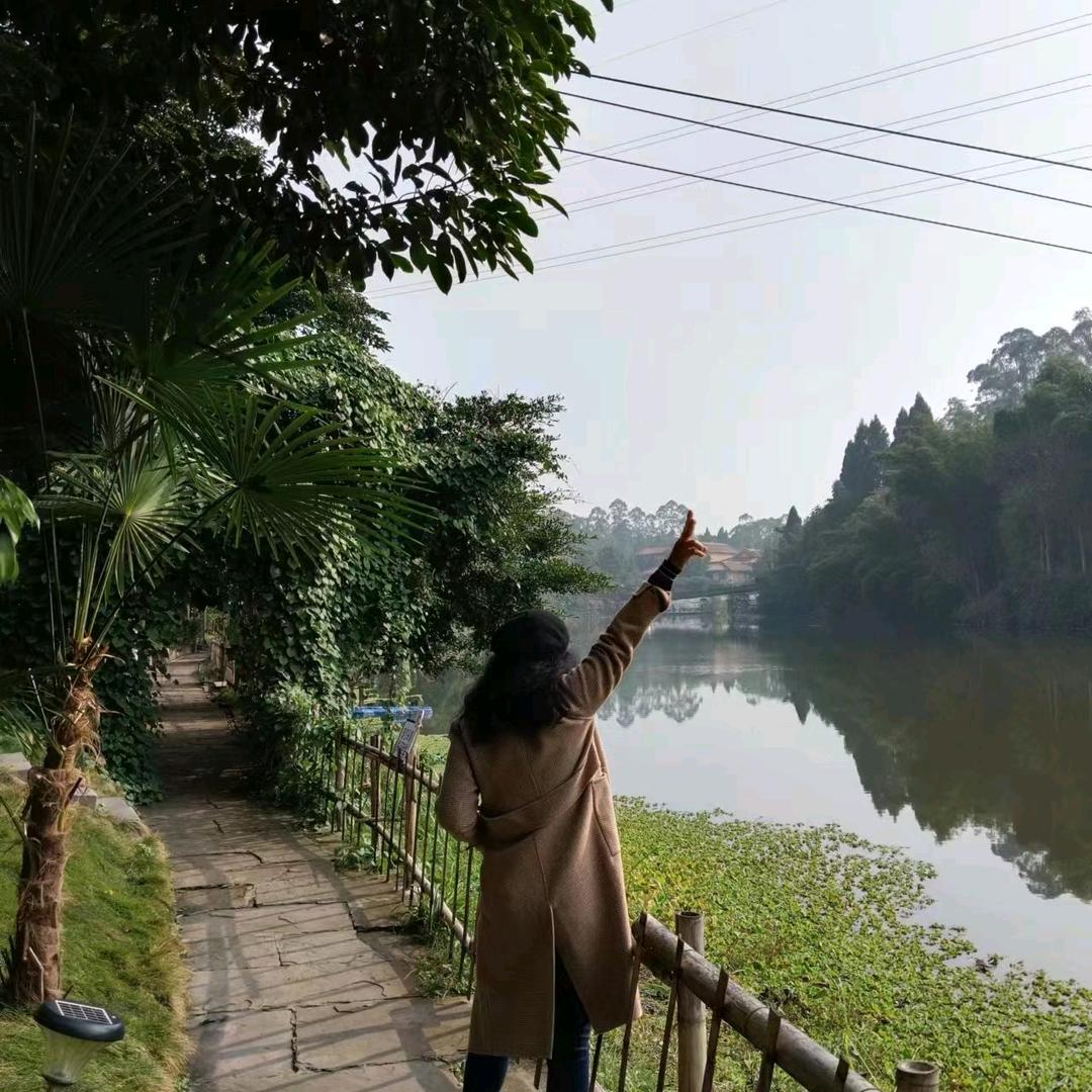 Y头