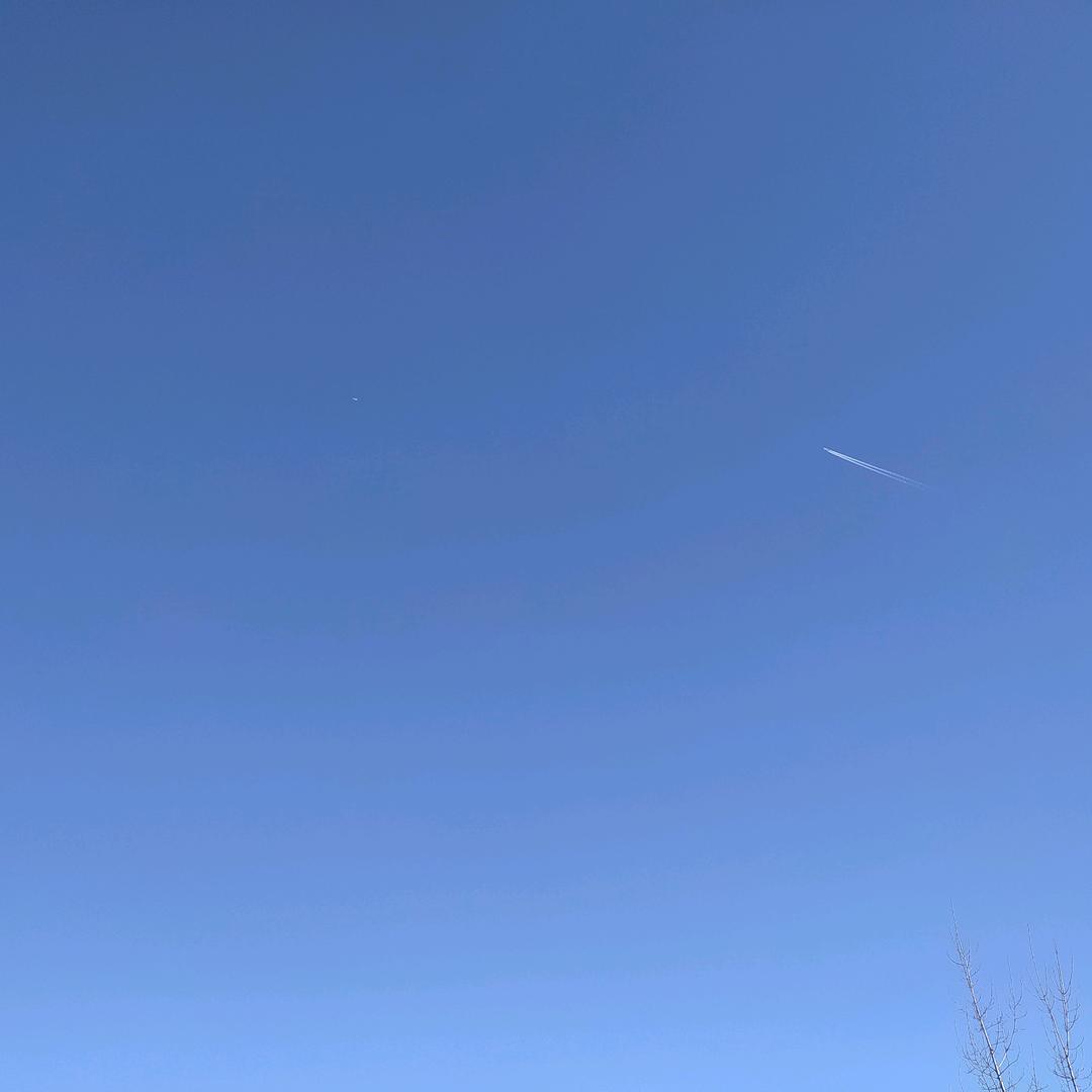 梁山伯与猪硬来